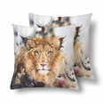 thumbnail image 1 of MKHERT Watercolour Painting Of Lion Throw Pillowcase Pillow Cover Cushion Couver 18x18 inch, Set of 2, 1 of 2