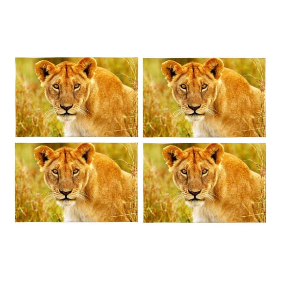 MKHERT Wildlife African Lion Face Animals in Masai Mara Kenya Placemats Table Mats for Dining Room Kitchen Table Decoration 12x18 inch,Set of 4