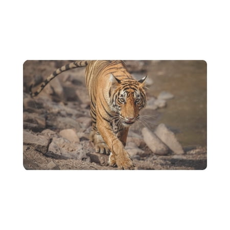 MKHERT Wildlife Tiger Animal Doormat Rug Home Decor Floor Mat Bath Mat 30x18 inch