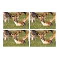 thumbnail image 1 of MKHERT Young Fawn Little Deer Countryside Rural Theme Placemats Table Mats for Dining Room Kitchen Table Decoration 12x18 inch,Set of 4, 1 of 4