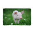 thumbnail image 1 of MKHERT Young Pig on a Spring Green Grass Cute Animal Doormat Rug Home Decor Floor Mat Bath Mat 30x18 inch, 1 of 3