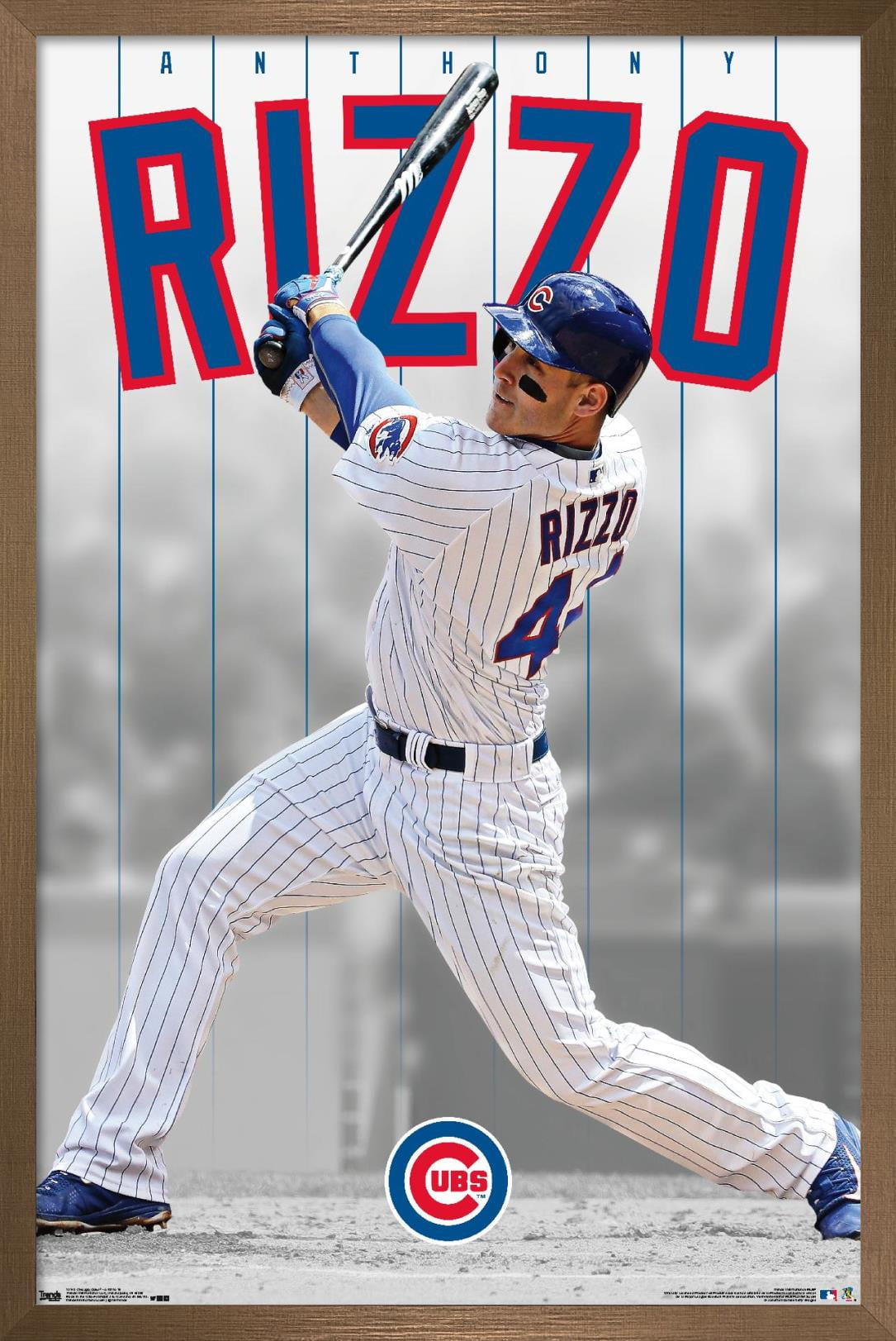 MLB Chicago Cubs - Anthony Rizzo 16 Wall Poster, 22.375 x 34, Framed 