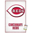 thumbnail image 1 of MLB Cincinnati Reds - Logo 17 Wall Poster, 22.375" x 34", 1 of 2