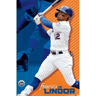 Nike Toddler Boys and Girls Francisco Lindor White New York Mets Replica  Player Jersey - Macy's