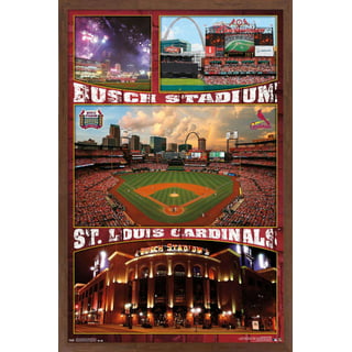 St. Louis Cardinals Poster, Saint Louis Cardinals Artwork Gift, Cardinals  Layered Man Cave Art