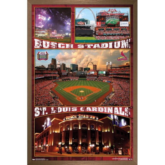 MLB St. Louis Cardinals - Busch Stadium 16 Wall Poster, 14.725" x 22.375", Framed