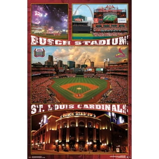 St. Louis Cardinals New Era Busch Stadium 30th Anniversary Air