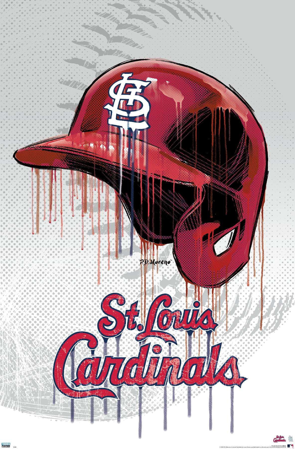 Lids St. Louis Cardinals Fanatics Authentic Framed 20 x 32 MLB