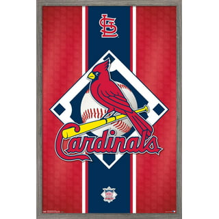 46+] St Louis Cardinals iPhone Wallpaper