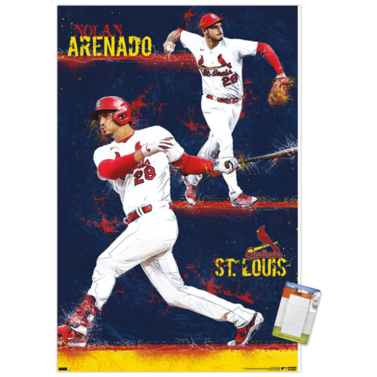 St. Louis Baseball - 2023 Season - St Louis Cardinals - Posters and Art  Prints