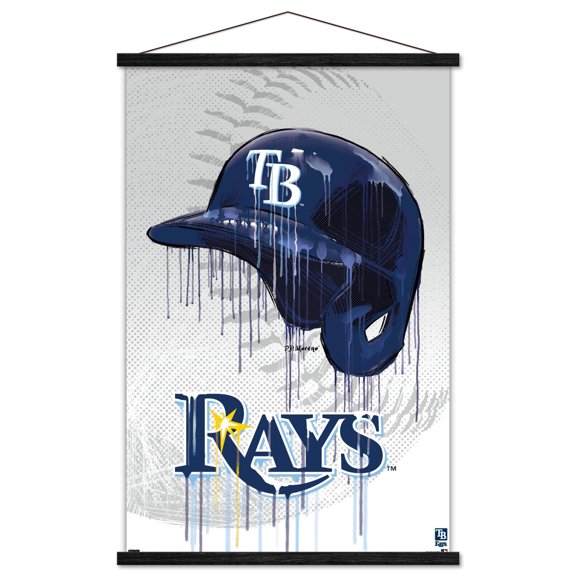 Tampa Bay Rays 24" x 34.75" Magnetic Framed Team Poster