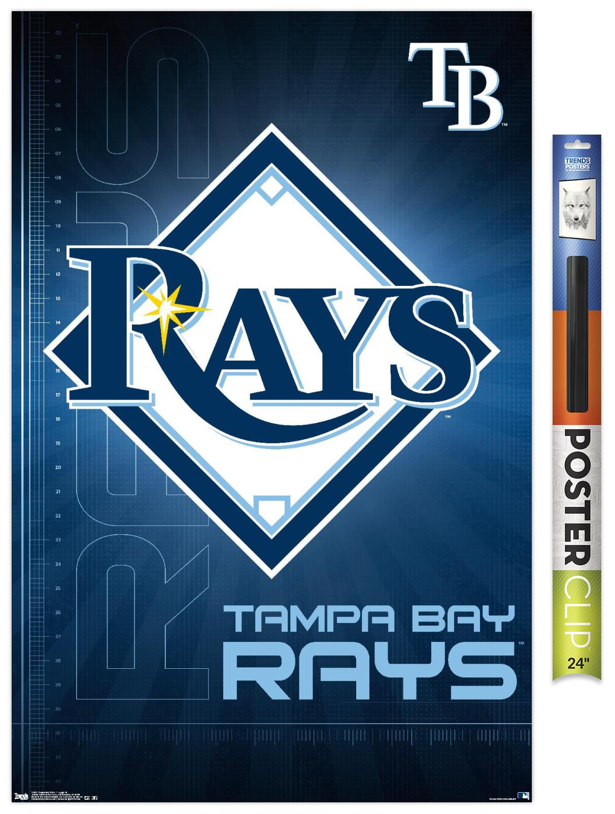 MLB Tampa Bay Rays - Logo 16 Wall Poster, 22.375 x 34 