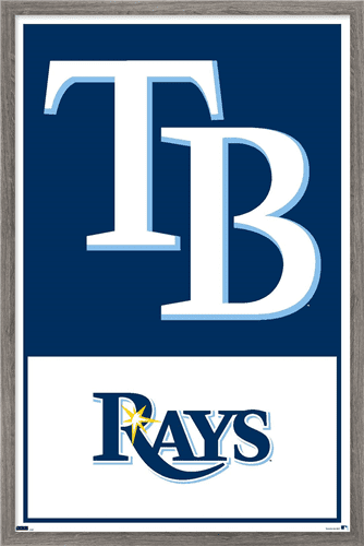 MLB Tampa Bay Rays - Logo 22 Wall Poster, 14.725" x 22.375" Framed