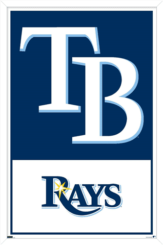 MLB Tampa Bay Rays - Logo 22 Wall Poster, 22.375" x 34" Framed