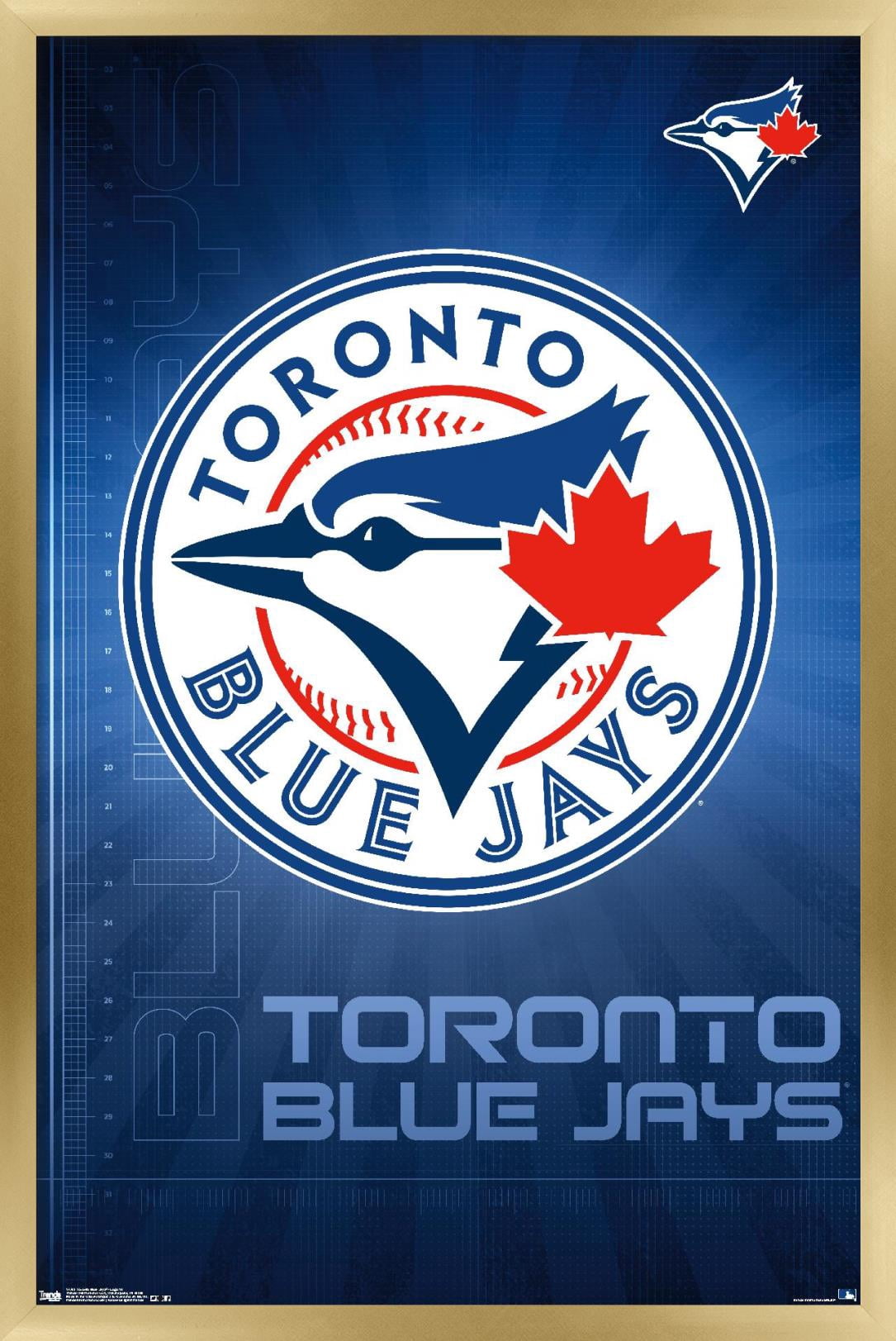 MLB Toronto Blue Jays - Logo 16 Wall Poster, 14.725" x 22.375", Framed