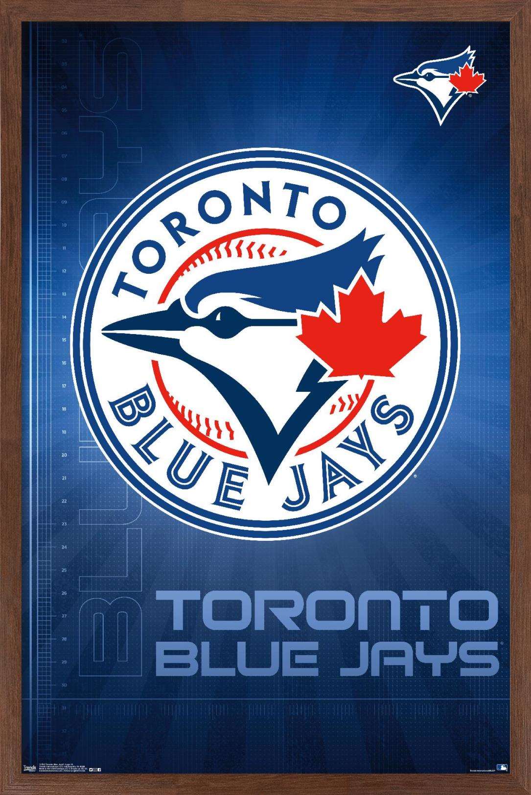 MLB Toronto Blue Jays - Logo 16 Wall Poster, 14.725" x 22.375", Framed