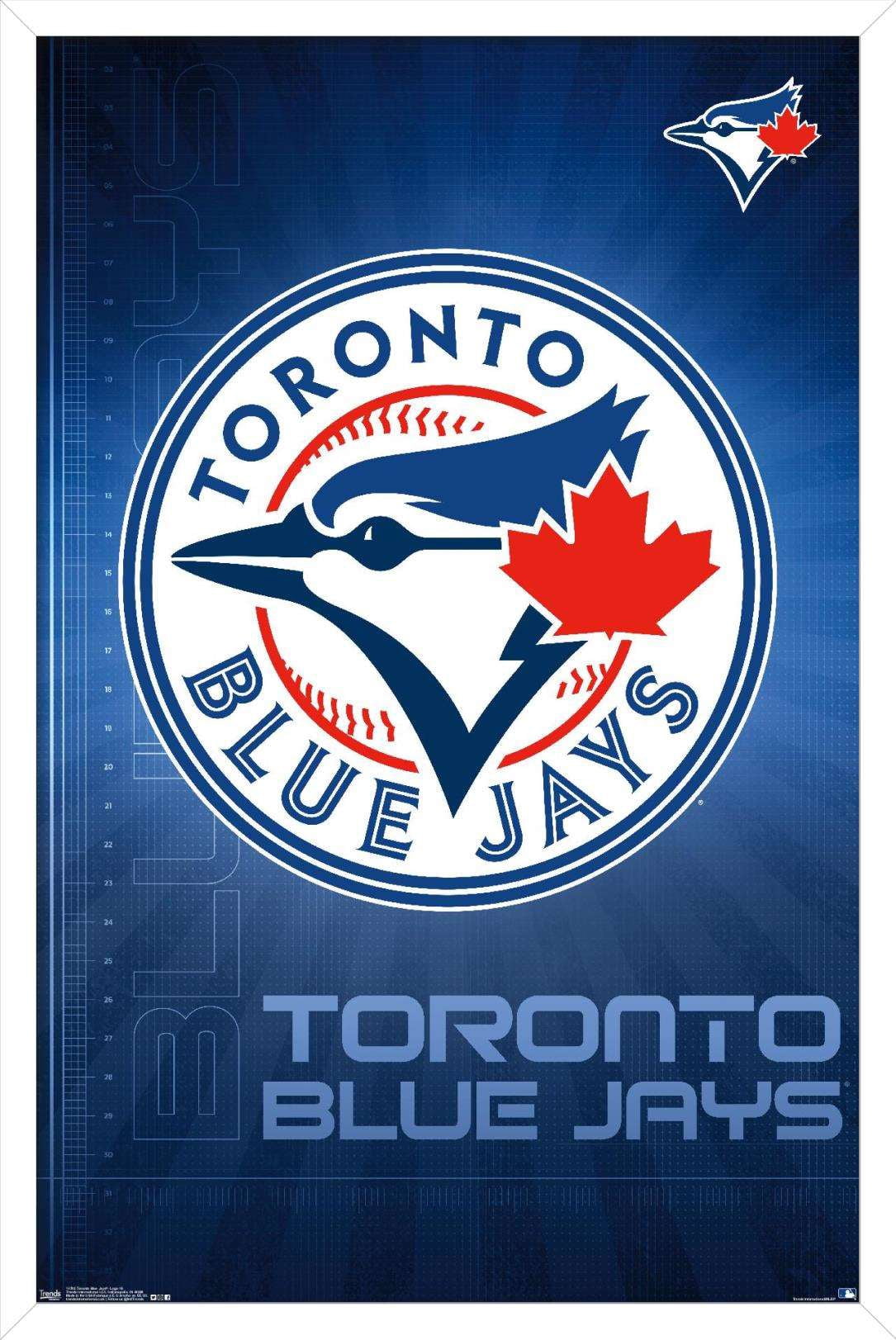 MLB Toronto Blue Jays - Logo 16 Wall Poster, 14.725" x 22.375", Framed