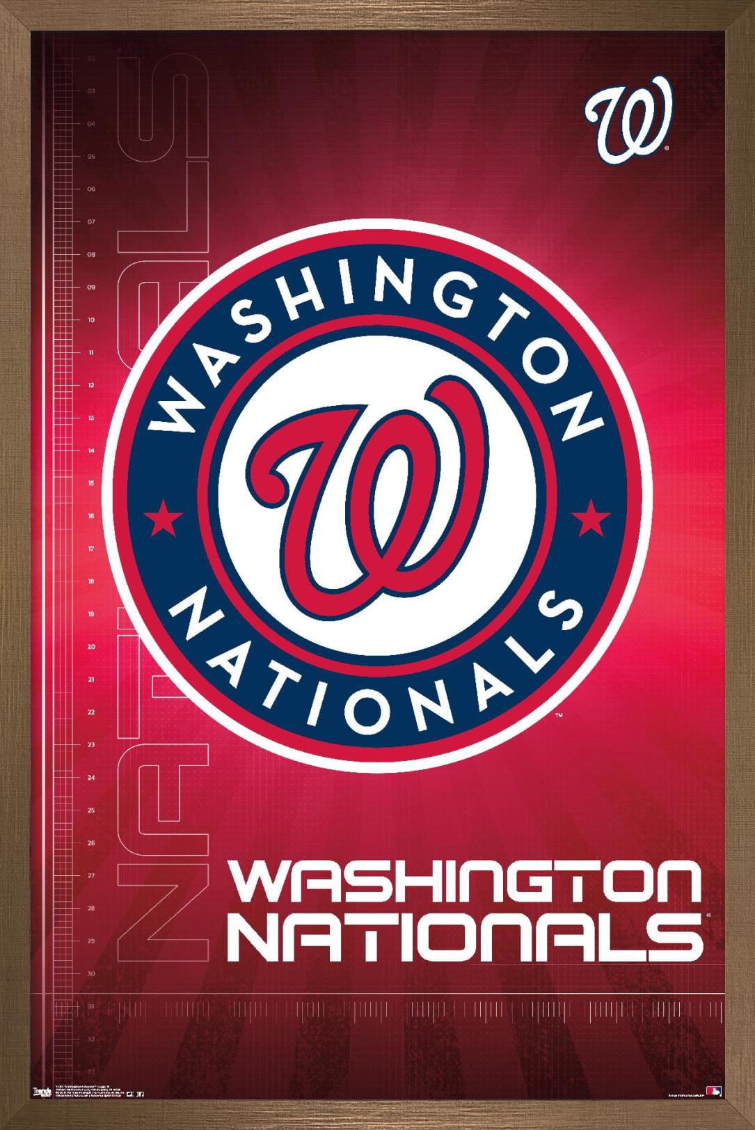 MLB Washington Nationals - Logo 16 Wall Poster, 14.725" x 22.375", Framed