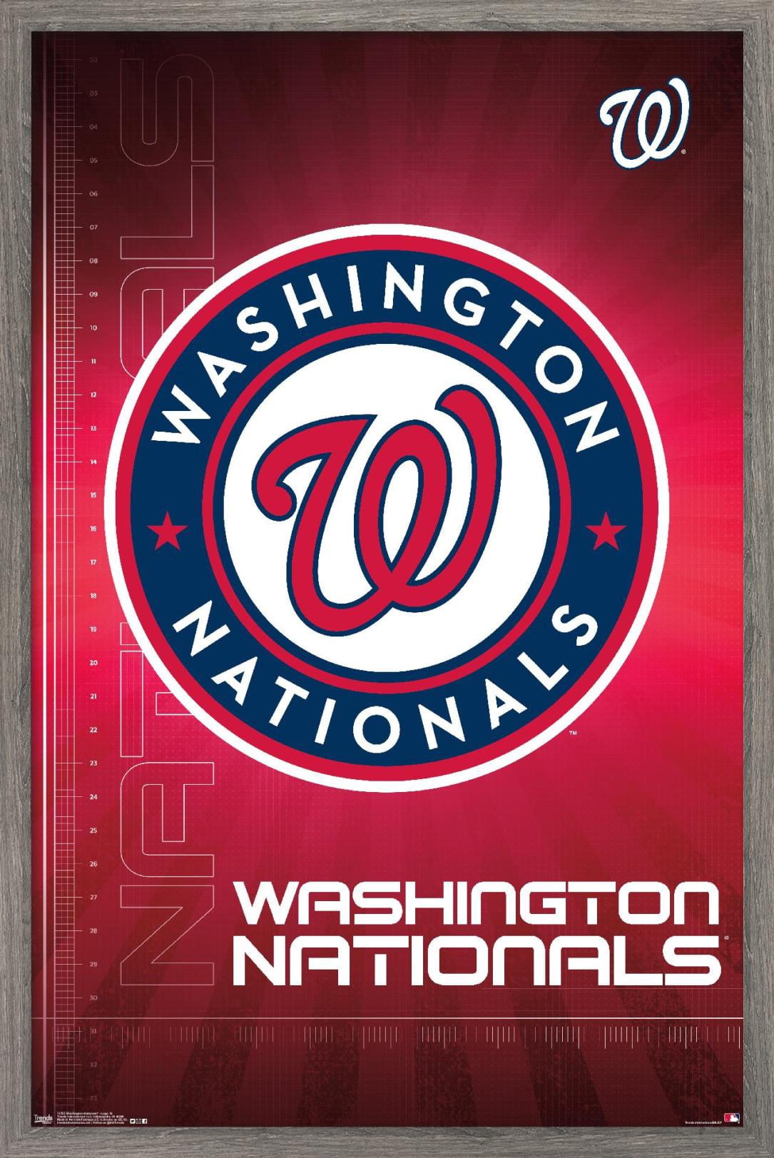 MLB Washington Nationals - Logo 16 Wall Poster, 22.375" x 34", Framed