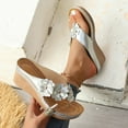 thumbnail image 1 of MLCDZ Orthopedic Wedge Sandals for Women Rose Flower Summer Comfortable Sandal Arch Support Wedges Flip Flops Slip on Beach Trendy Shoes Silver 36, 1 of 8