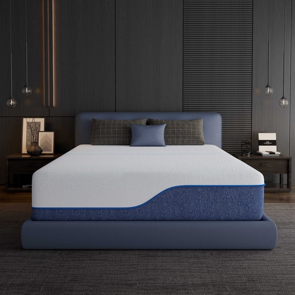 EGOHOME Essence Sleep Queen Mattress, 14" Memory Foam Mattress in a Box, Medium
