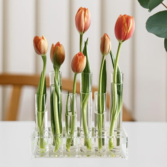 MLINS 1 Set Hydroponics Vase Desk Plant Terrarium Test Tube Transparent Glass Test Tube for Hydroponic Plant