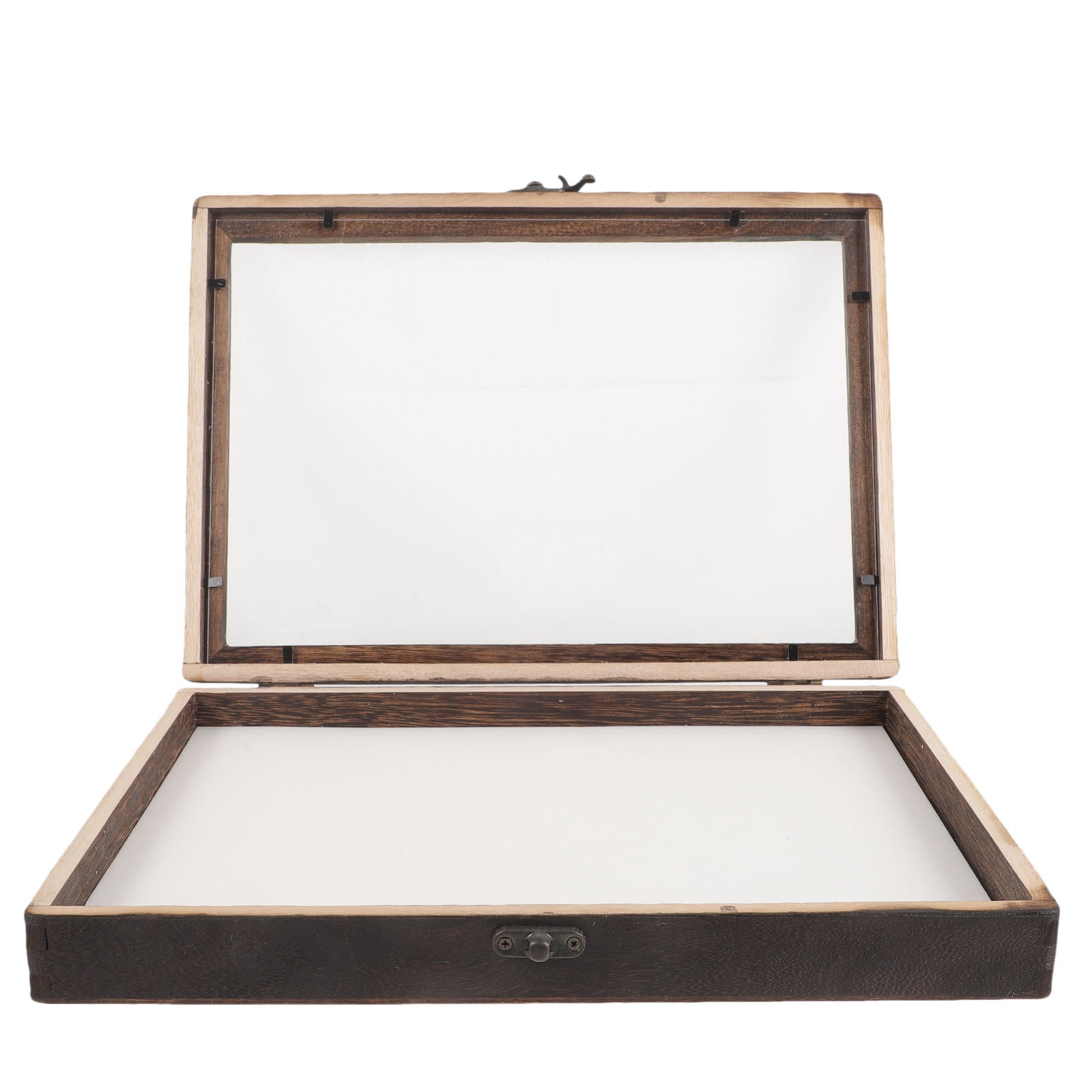 MLINS 1 Set of Insect Display Box Wall Mount Bug Display Case ...