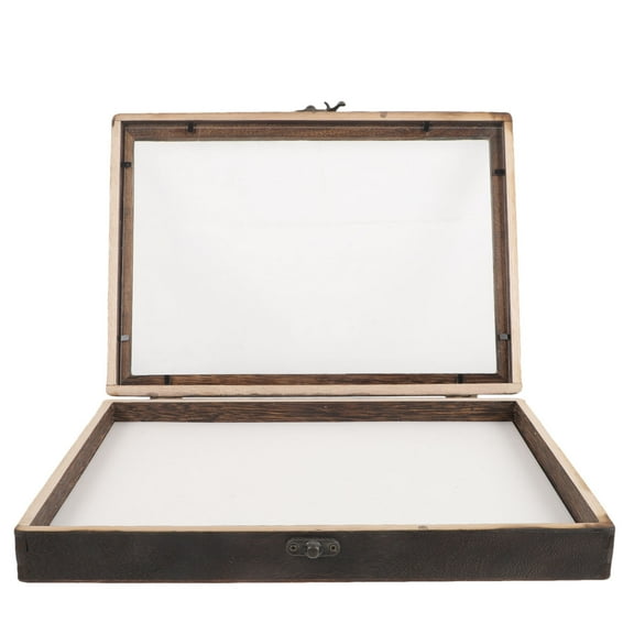 MLINS 1 Set of Insect Display Box Wall Mount Bug Display Case Collection Box Butterfly Specimen Box
