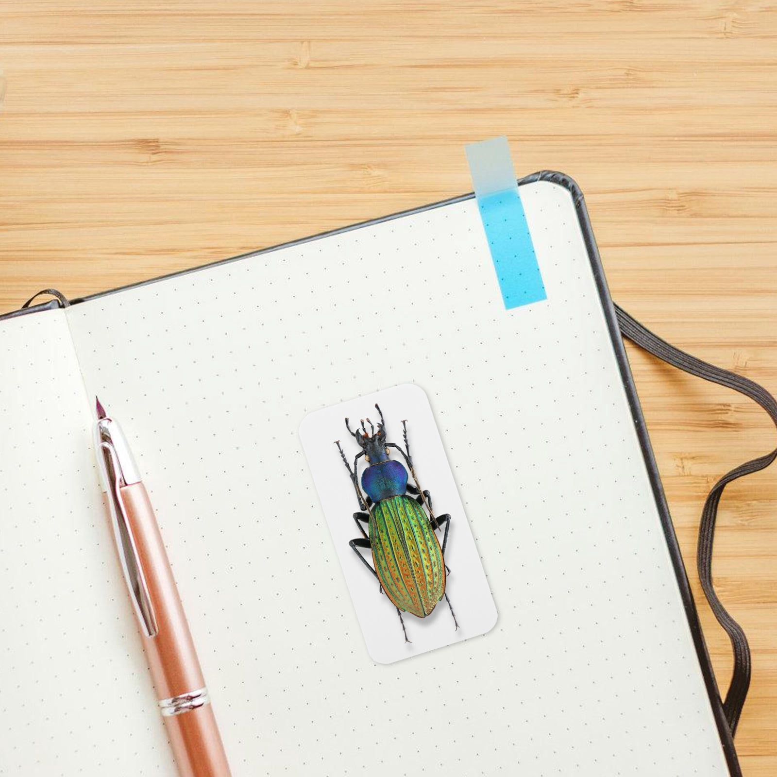 DINHEAROM Insect Mount for Fieldwork 100Set - Walmart.com