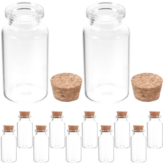 MLINS 12 Pcs Juice Bottles with Lids Wishing Mini Glass