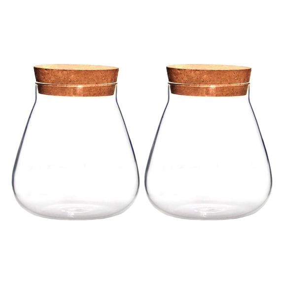 MLINS  2 Pcs Cork Glass Bottle Plant Canning Jars Flower Pot Brown