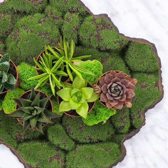 MLINS 2 Pcs Moss Wall Decors Moss Wall Panel Moss Mat Grass Wall Backdrop Moss Panel Decoration Simulation Moss Decor Landscape Prop