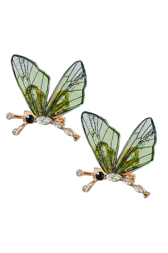 2 Pcs Swift Merch Clothes Vintage Brooch Dragonfly Man