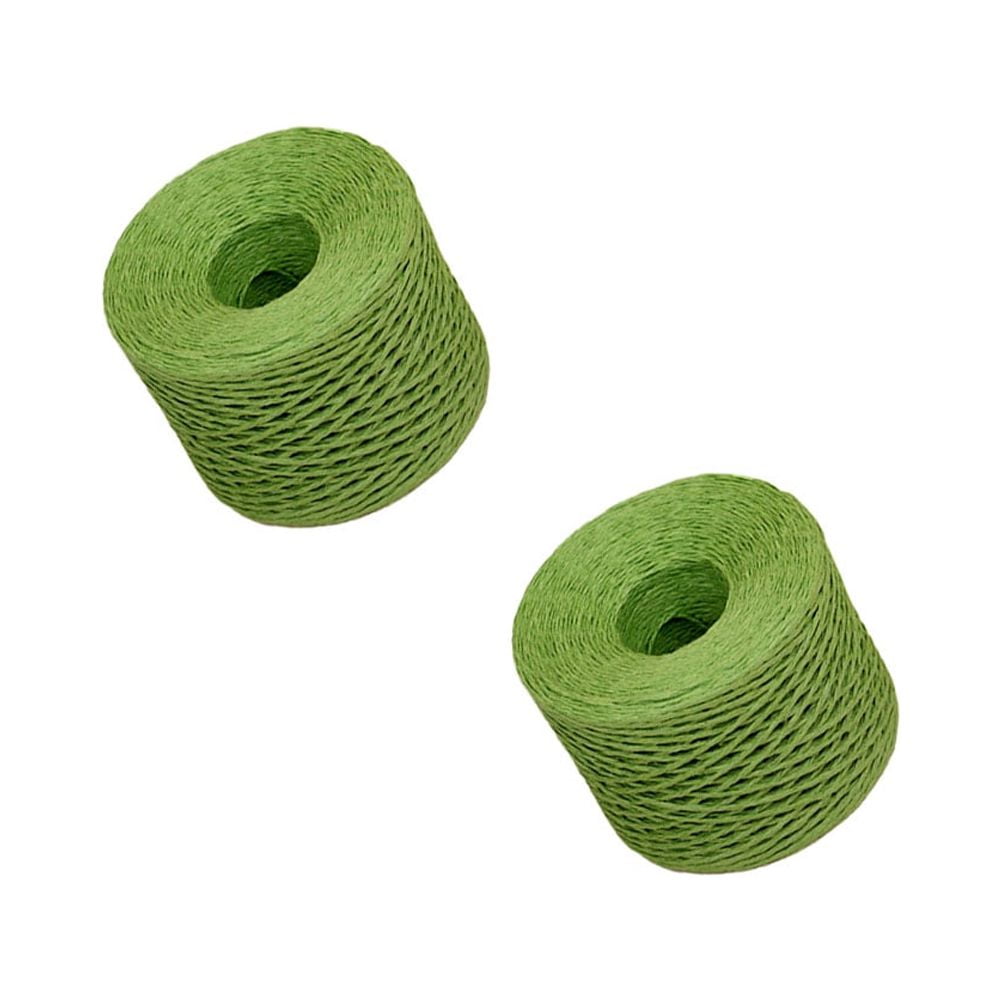 FELTECHELECTR Raffia Paper Ribbon Dark Green 2 Rolls 787x0.08x0.08 In ...