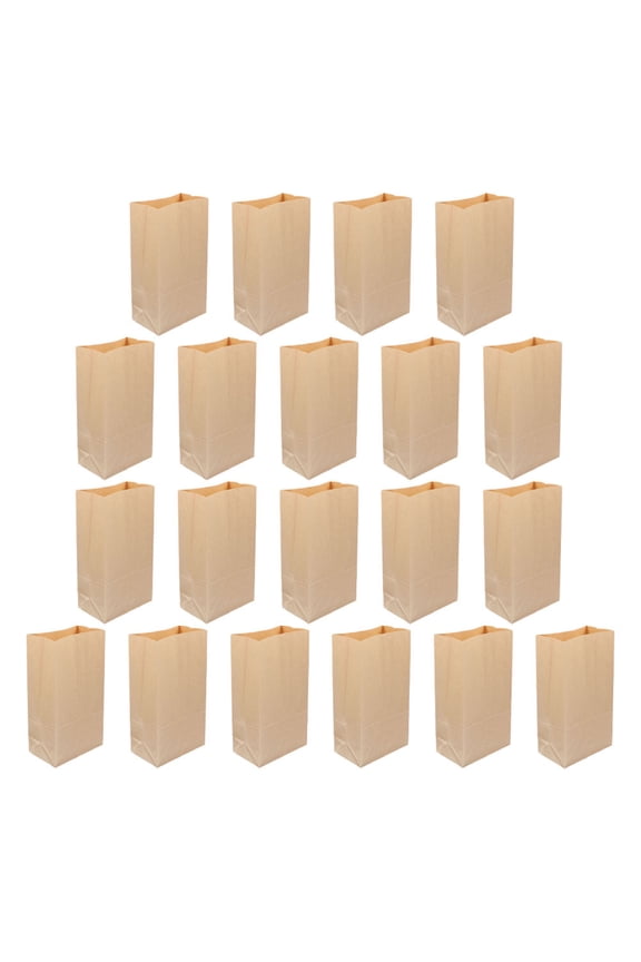 20 Count Kraft Paper Bakery Bags for Storage Lightweight Brown Paper Bags for Events and DIY Projects