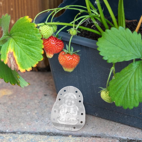 MLINS 2pcs Fruit Shaping Mould Buddha Shaped Fruits Pear Peach Grow Forming Mold Watermelon Grow Mold Clear Melon Molds Shaping Tool For Garden