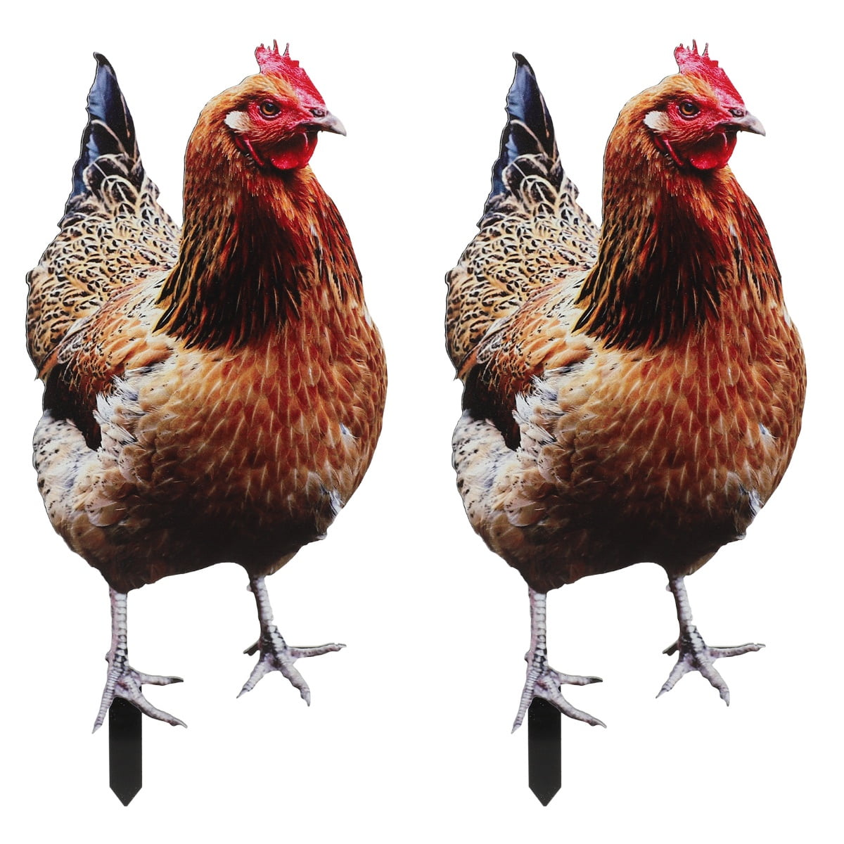 MLINS 2pcs Outdoor Chicken Yard Sign Courtyard Chicken Insert Chicken ...