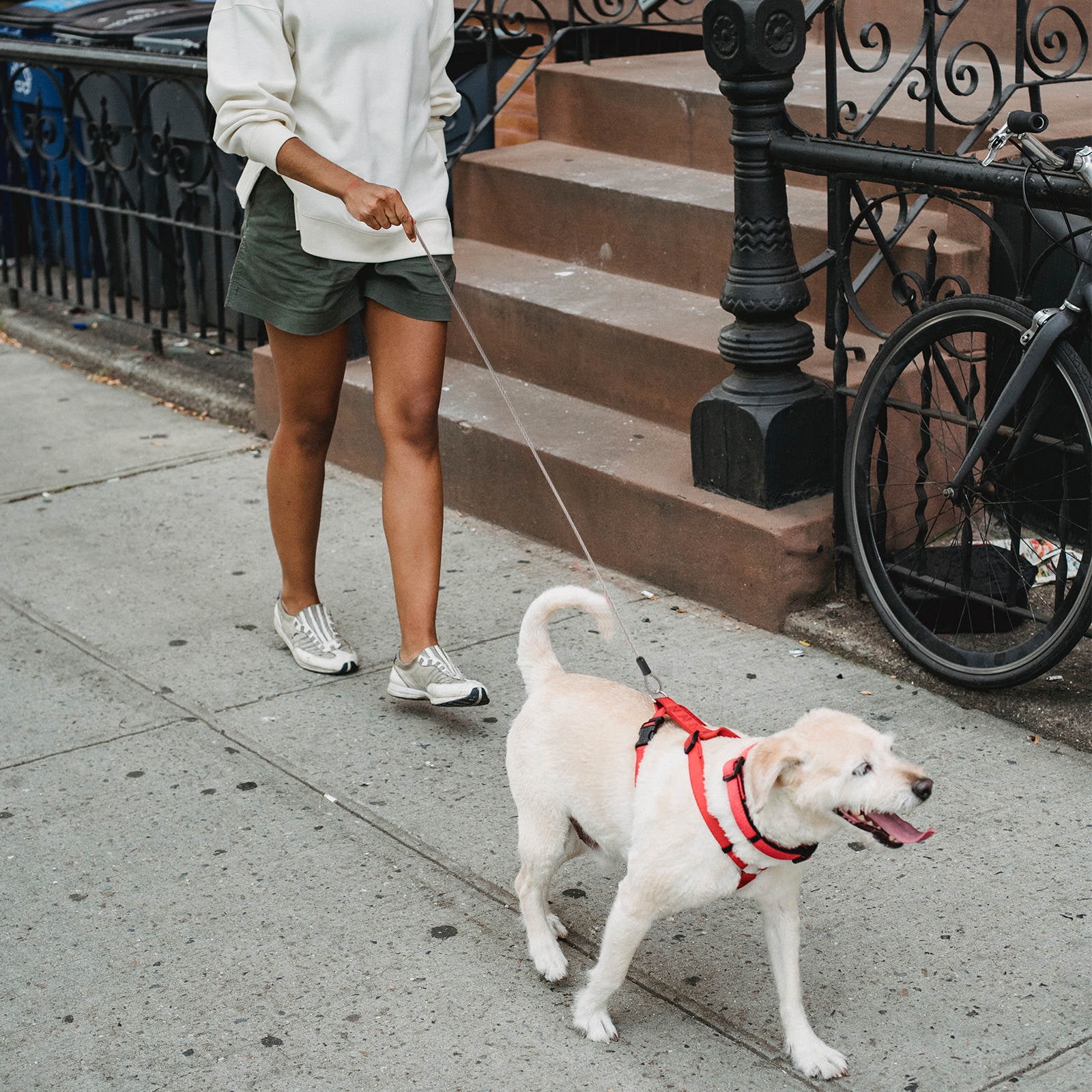 MLINS 4 Pcs Cable Rubber Coated Wire Rope Hanging Wire Rope 100X1CM ...