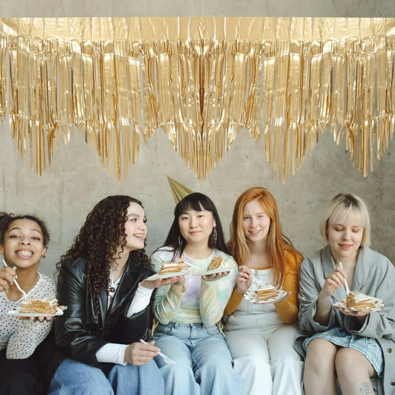 MLINS 4pcs Party Fringe Banner Birthday Wedding Backdrops Diy Streamers Reusable Hanging Decoration Ceiling Fringe Banner Backdrop 200x50cm