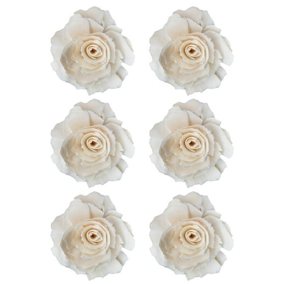 MLINS 6 Pcs Peony Diffused Flowers Diffuser Dried for Oil Essential Office White
