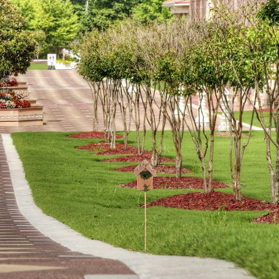 MLINS Bird House Yard Stake Garden Decorative Stick Yard Stake Decor Wood Birdhouse Stake Bird House On Stake Outdoor Landscape Decoration