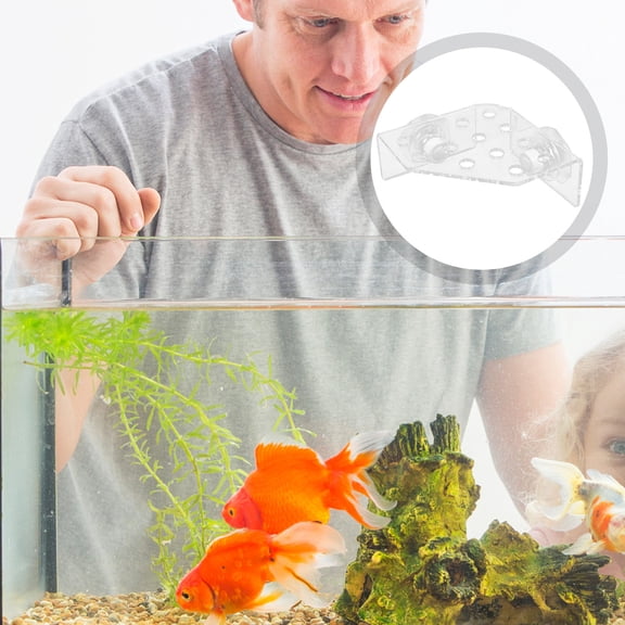 MLINS Coral Support Rack Holder Fish Tank Accessories Transparent