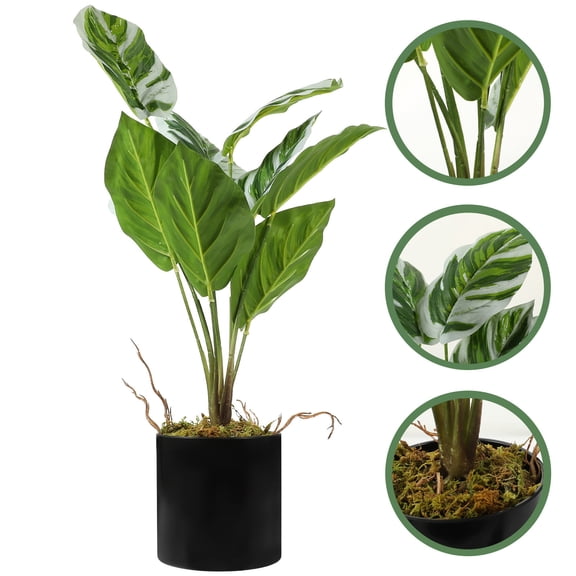 MLINS  Fake Arrowroot Potted Plant Home Decor Bonsai Desktop Decoration
