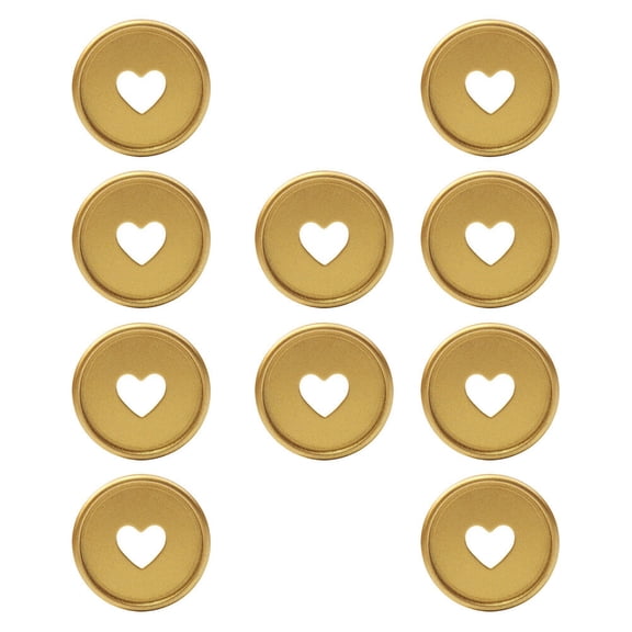 MLINS Golden ABS Binder Discs for Students with Strong Hold and Craftsmanship 10 Pcs