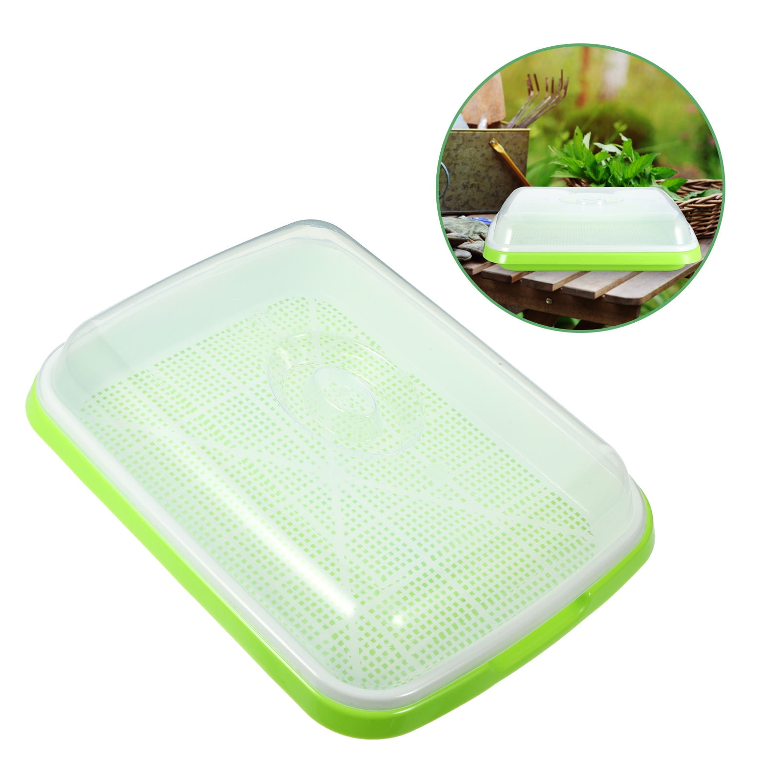MLINS Green Sprouting Set with Lid for Hydroponics Tray Wheatgrass ...