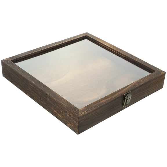 MLINS Horror Holder Specimen Box Specimen Storage Box with Lock 30X30X4.5CM