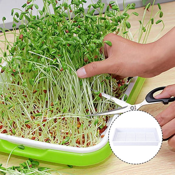 MLINS Hydroponic Nursery Tray for Garden Made of Durable PP White with Small Holes for Easy Rooting 1PC