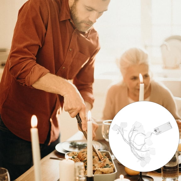 MLINS  LED Animal Light String Warm Indoor Lighted Decoration Transparent