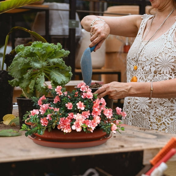 MLINS Large Bonsai Pot Oval Flower Pot Outdoor Flowerpot 44.00X34.00X10.50CM Brown