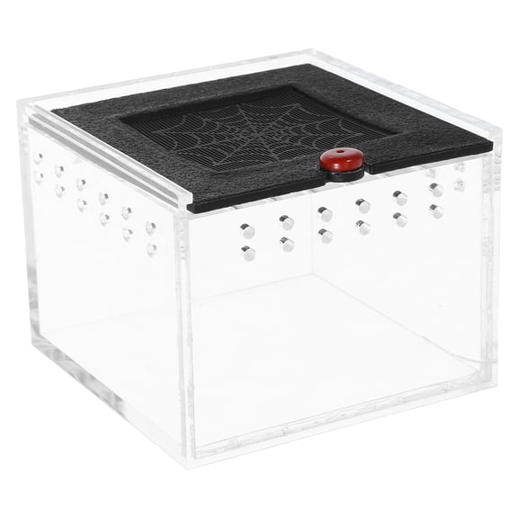 MLINS  Leopard Reptile Feeding Box Tank Acrylic Terrarium Spider Breeding